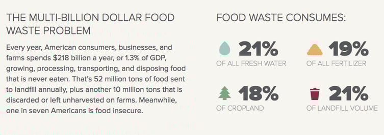 3 Surprising Statistics About the Environmental Impact of Food Waste
