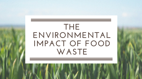 the environmental impact of food waste banner with grass in background