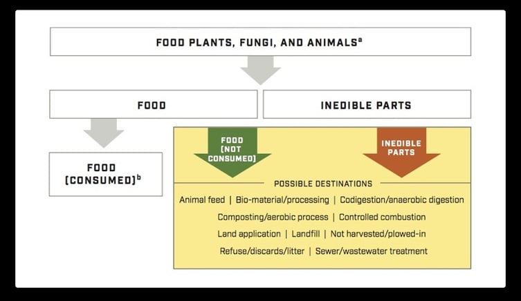 Understanding-Food-Loss-and-Waste-Standard.jpg