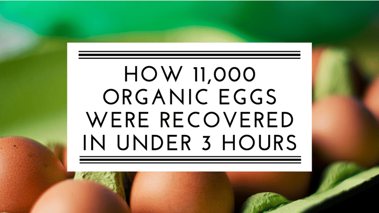 how 11,000 organic eggs were recovered in under 3 hours banner with eggs in carton in background