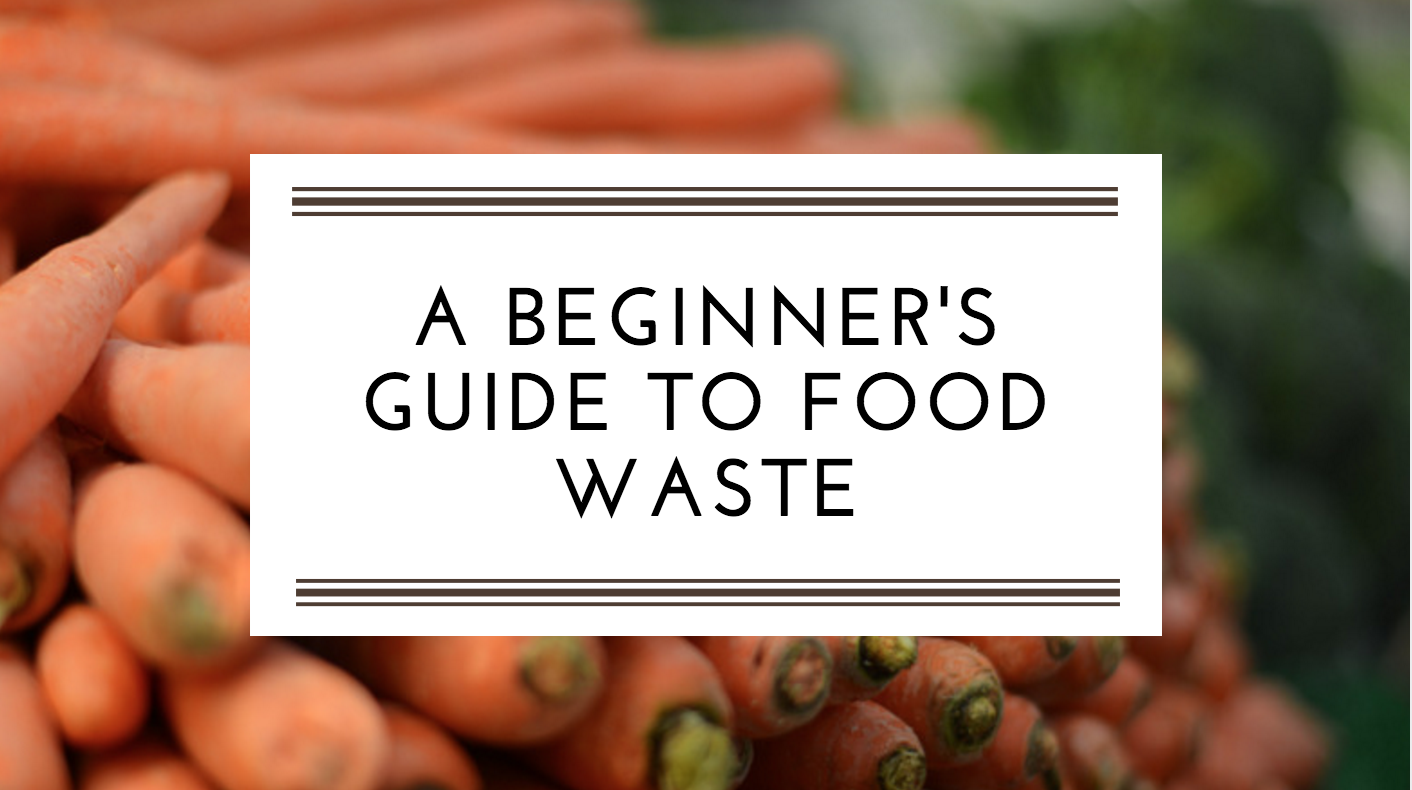 Food Waste A Beginner s Guide food-waste-a-beginner-s-guide