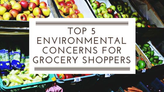 TOP_5_ENVIRONMENTAL_CONCERNS_FOR_GROCERY_SHOPPERS-1