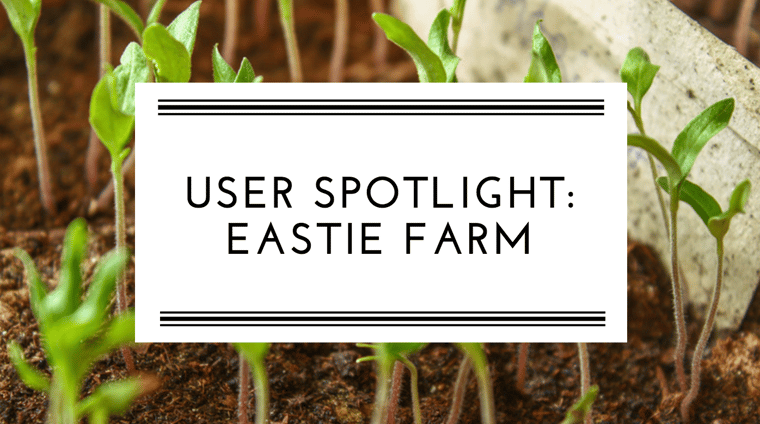 User Spotlight Eastie Farm banner with sprouting plants in background
