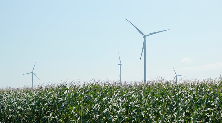 clean-energy-windmills-in-field