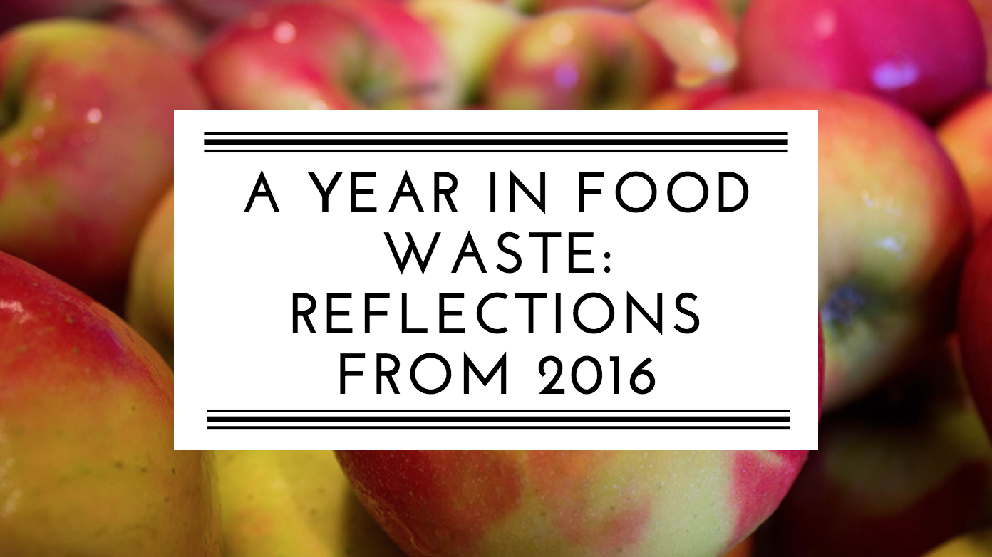 A Year in Food Waste: 2016 Reflections